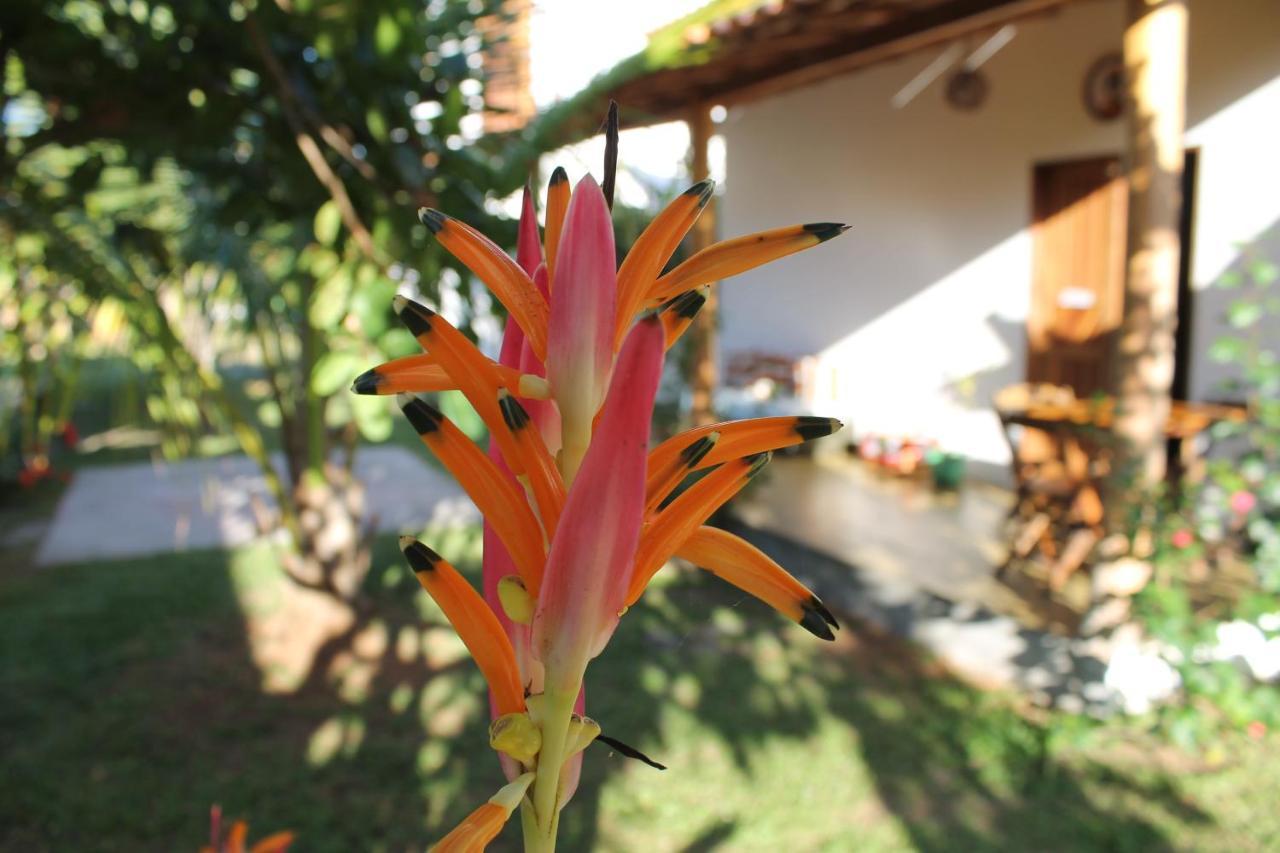 Family Guest House Velha Boipeba エクステリア 写真